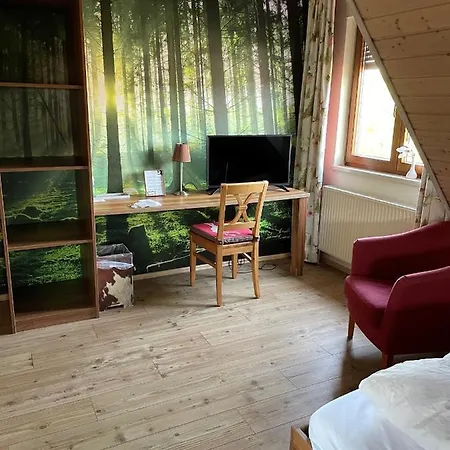 Landgasthof Hirsch Hotel *